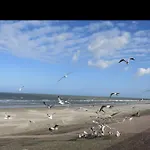 Passionné De La