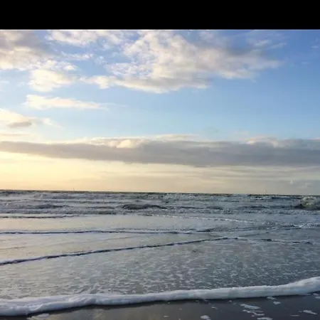 Appartement Passionné De La *